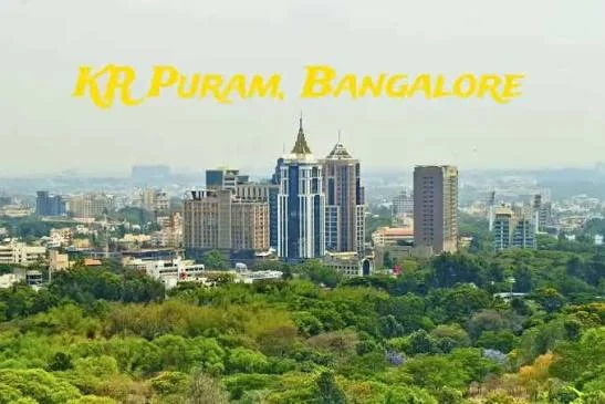 KR Puram escorts Bangalore — verified companions | Sugar Baby Escorts