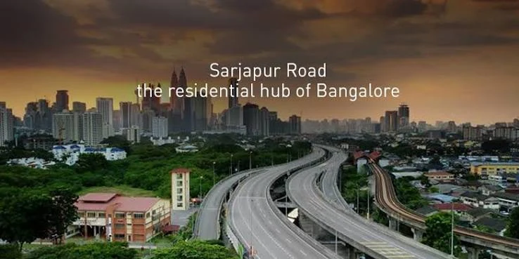 Sarjapur Road escorts VIP companionship
